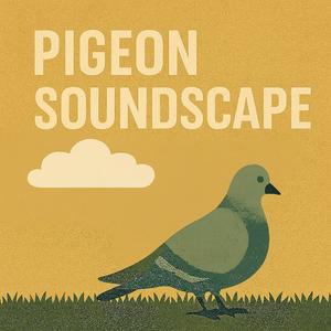 Pigeons