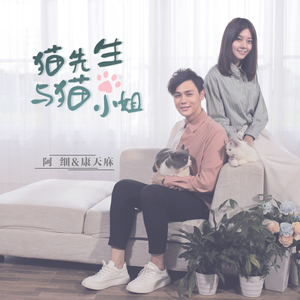 猫先生与猫小姐
