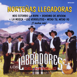 Bohemio De Aficion