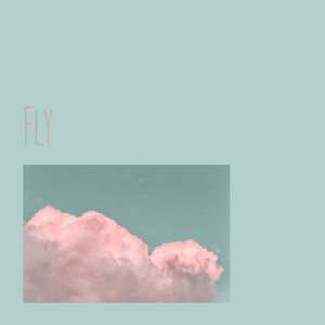 fly