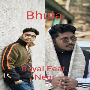 Bhula