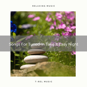 Mega Noises For Less Tense Relax Night