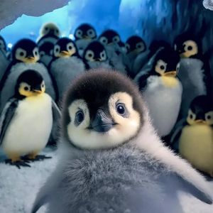 谁能理解我们的痛 (Who Can Understand Our Pain)