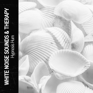 White Noise Laboratory