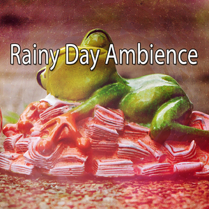 Rain In The Tree Tops