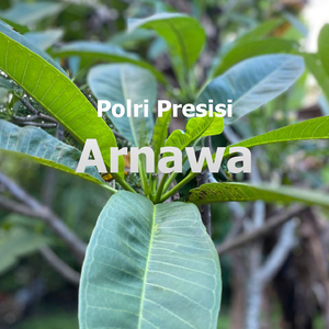 Polri presisi