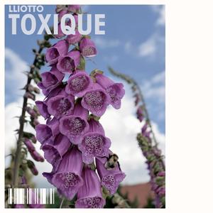 TOXIQUE