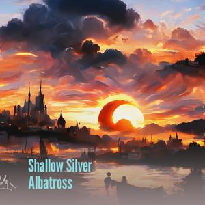 Shallow Silver Albatross