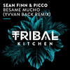 Sean Finn - Besame Mucho (Yvvan Back Extended Remix)