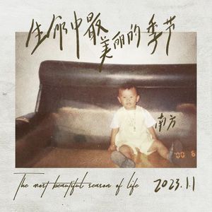 当远处驼铃响起的时候