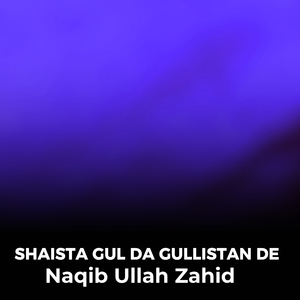 Shaheed Hassan Khan Pa Yad Ki