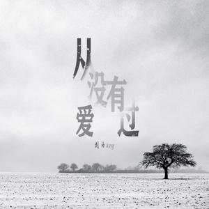 从没有爱过（抖音热门版）