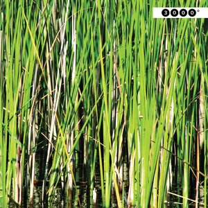 2t Pro Quadratmeter Fusion Edit