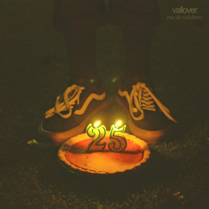 Nunca Fui al Psiquiatra por Ti