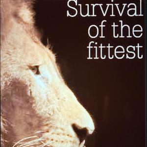 Survival Of The Fittest
