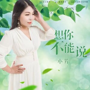想你不能说