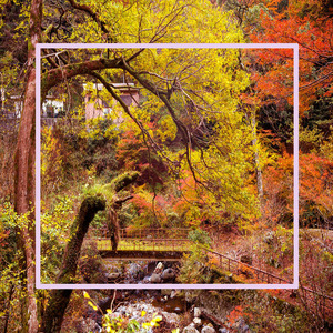 웃음을 주는 즐거운 연주곡