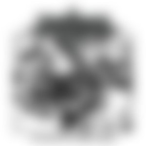 Diagnose Schizophrenia
