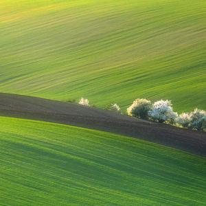 呼伦贝尔大草原