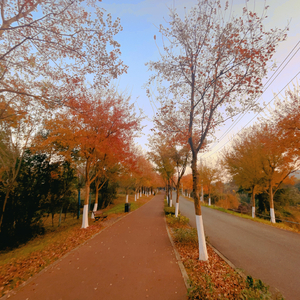 烟雨人间demo.WAV