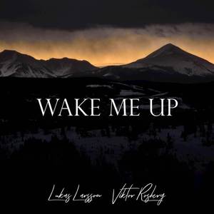 Wake Me Up (Acoustic)
