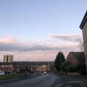 say so (Japanese version)