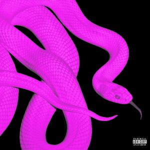 Pink N Purp