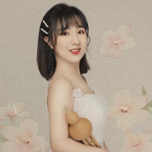 杜聪-欢乐的泼水节 西丽罕乐演奏（西丽罕乐 remix）