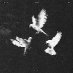Dyri