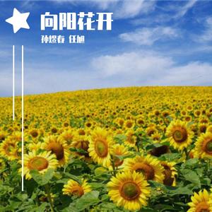 向阳花开