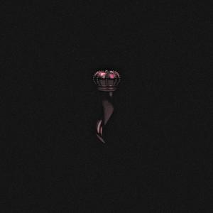 didntknow (feat. NRT)