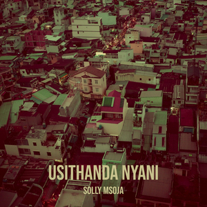 Usithanda Nyani