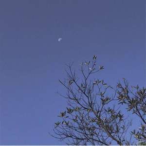 【Free】"bless me" boombap beat