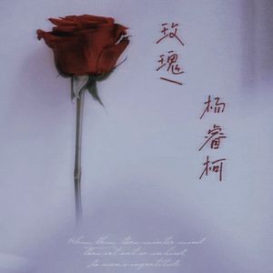 玫瑰