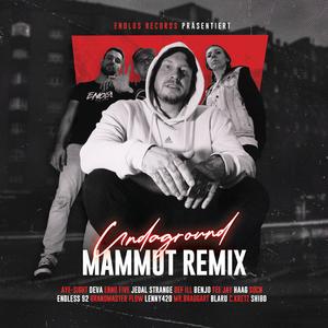 Undaground (feat. C.KRETZ, Mr. Braggart, Def ILL, Enno Five, Socn, DEVA, Teejay, Haag Fv, Jedal Strange, BenJo, AYE-sight, Endless 92, Grandmaster Flow & Lenny420) (Mammut Remix)