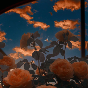 花晨月夕（piano ver.）