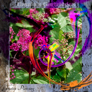 Staring at the Vast Dissonance