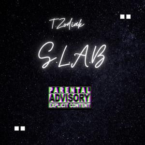 S.L.A.B