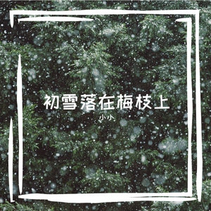 鲸巷独旅