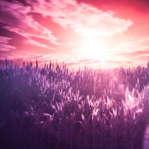 柔和平静的噪音