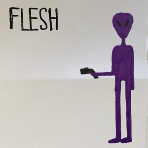 Ludwig Wittgenstein's dead cat named felix