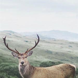 小城里（cover.初见乐队）