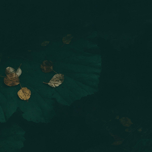 Nirvara