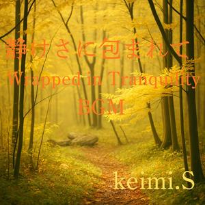 苔むす静寂 Silence of the Mossy Grove