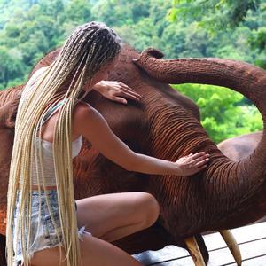 “No War, Just Love”