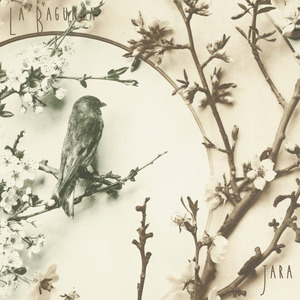 Jara