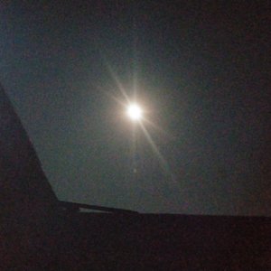 想和你浪费时间