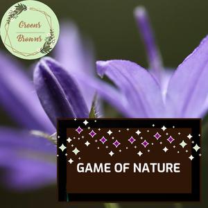 Stress Reduction with Fire Sound