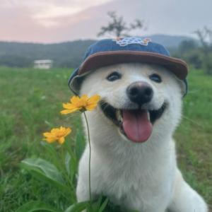 天下第一好（2026女声版）