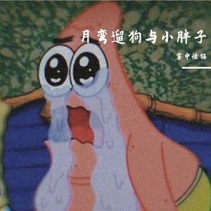 月弯遛狗与小胖子